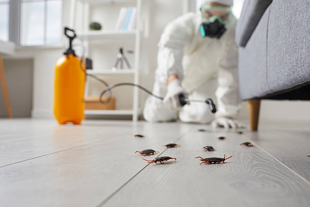 Trusted Fumigation Services service in Browns Point, WA - Nex Pest Control