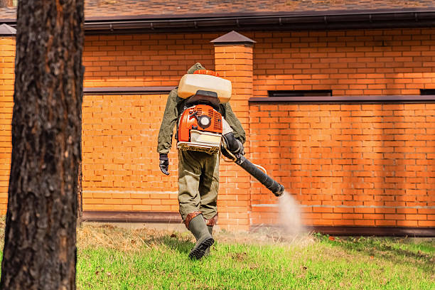 Trusted Rodent Control service in Browns Point, WA - Nex Pest Control